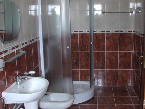 Pension Teleptean Ocna Sugatag Room photo
